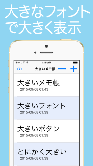 Screenshot #3 pour Easy Notes Big