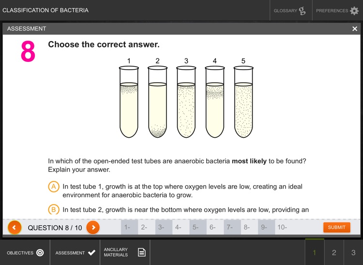 Classification of Bacteria screenshot-4