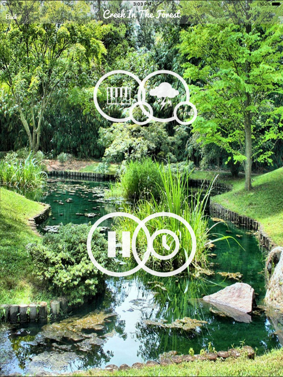 Screenshot #5 pour Forest Sounds - Forest Music,Sound Therapy