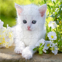 Animal Puzzle Games Jigsaw