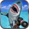 Flying Hungry Shark Shooting Games