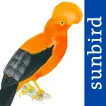 All Birds Northern Peru App Support