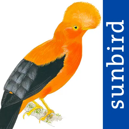 All Birds Northern Peru Cheats