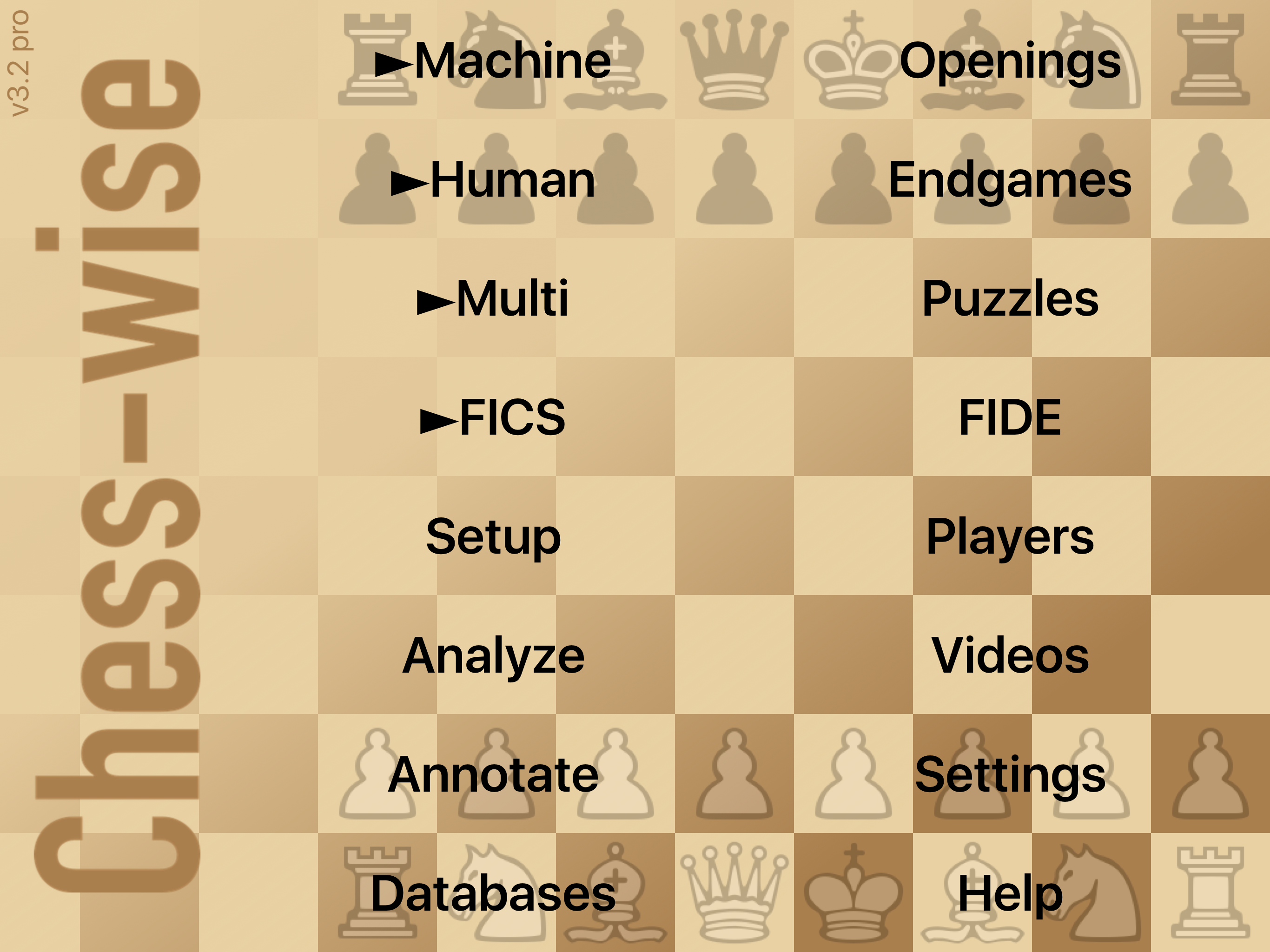 Chess-wise 3