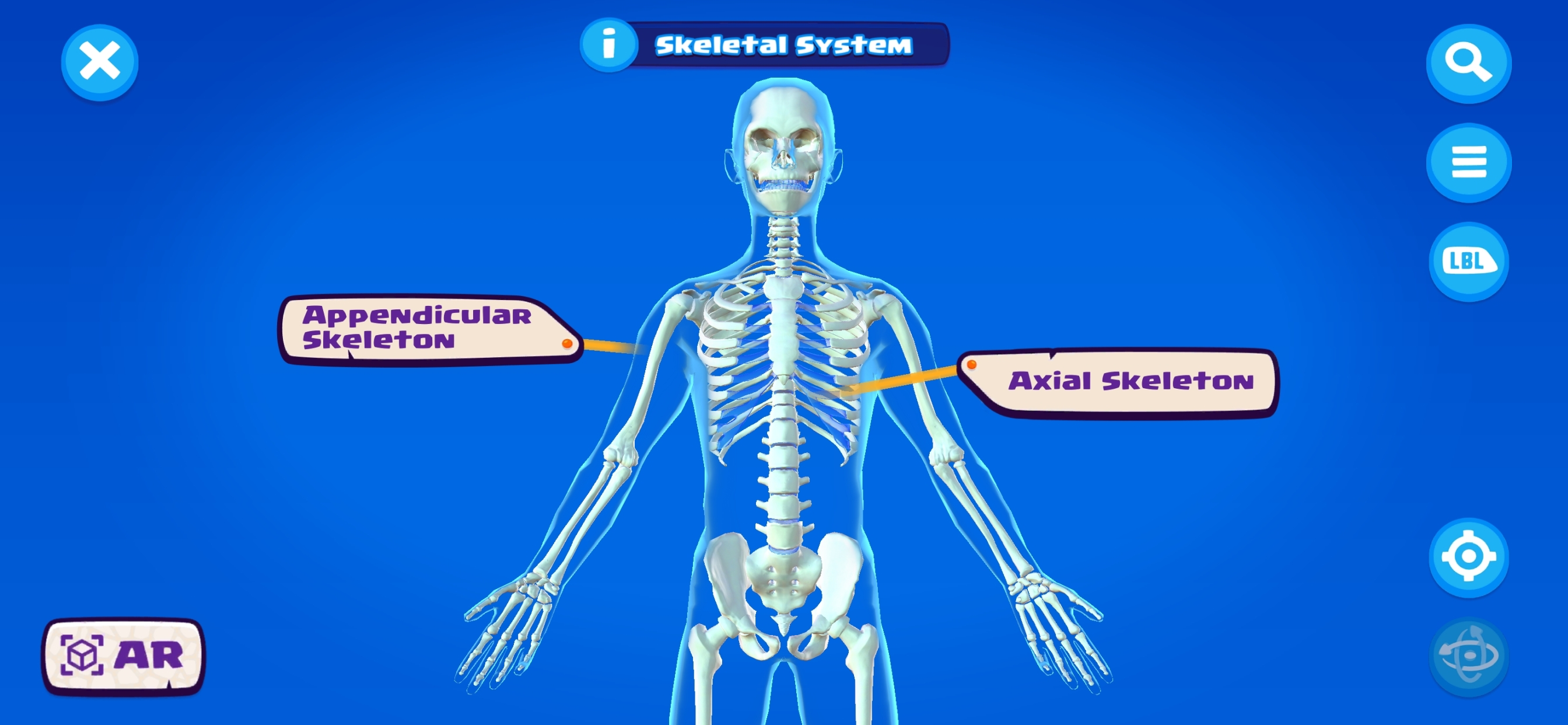 U.S. Army STARS Anatomy