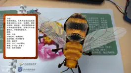 Game screenshot 昆虫王国AR mod apk