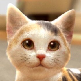 Screenshots (10) with My CAT