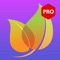 Ứng dụng đọc truyện online trên truyenyy