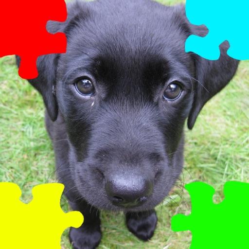 Puppies (Baby Dogs) Jigsaw Puzzles iOS App