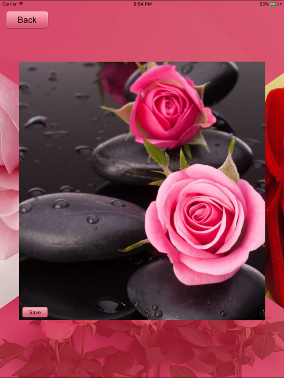 Screenshot #6 pour Rose HD Wallpapers