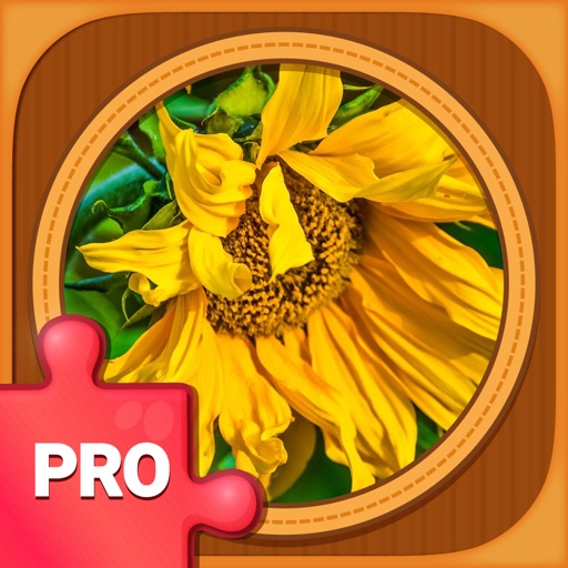 Jigsaw Puzzle Games PRO: Brain Training Jigsaws icon