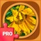 SPEND YOUR TIME PLAYING JIGSAW PUZZLE GAMES PRO: BRAIN TRAINING JIGSAWS and use one of the best brain teasers to clear your thoughts