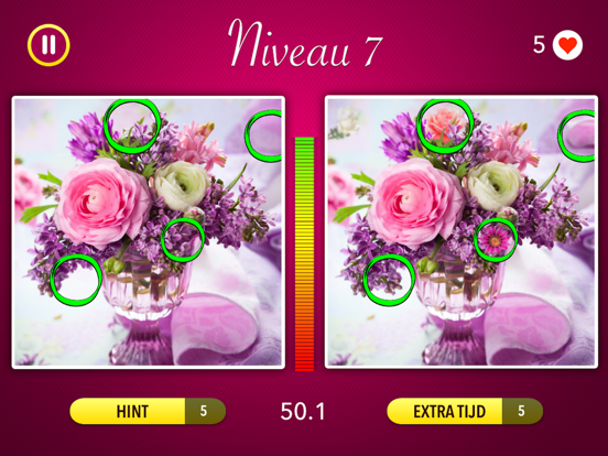 Wat is het verschil? ~ Zoek 5 verschillen! iPad app afbeelding 5