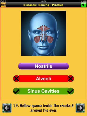 easyLearn Diseases: Life Sciences HD screenshot 2