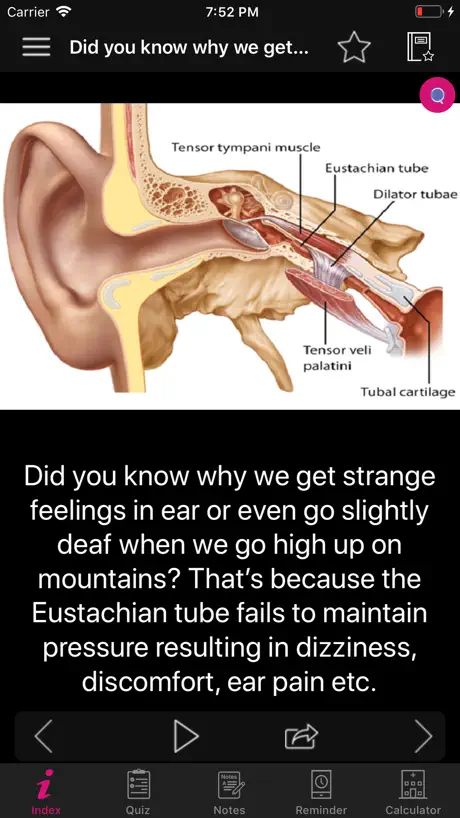 Human Anatomy Ears Facts, Quiz