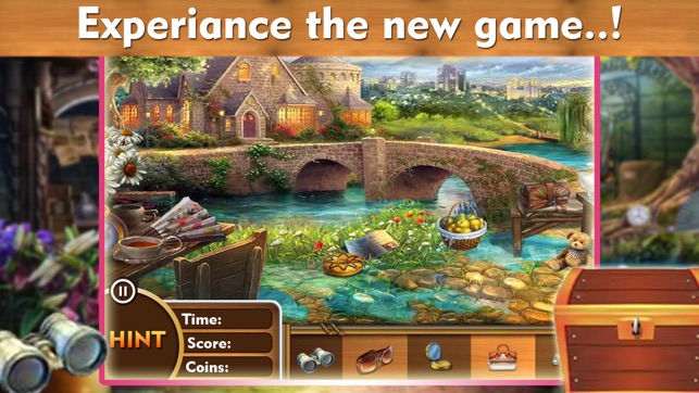 Hidden object: Mystery park pro