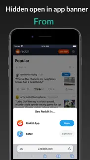 popup blocker - remove popup iphone screenshot 1