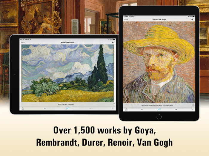 Metropolitan Museum HD