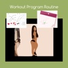 Workout program routine