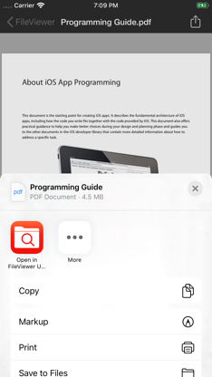 FileViewer USB for iPhone screenshot 4