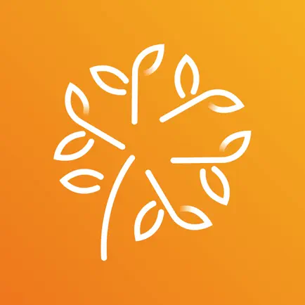 Lufitcode Cheats