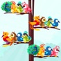 Bird Sort:Puzzle Sorting Games app download
