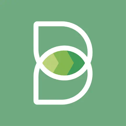 Buddyng Читы