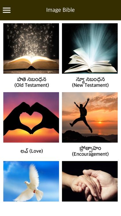 Holy Bible with Audio-Telugu screenshot-3