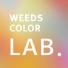 Lab Color