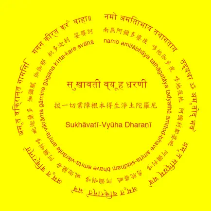 Pure Land Rebirth Dhāraṇī Cheats