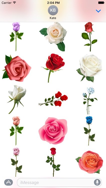 Hearts & Roses to Love Stickers for iMessage screenshot-4