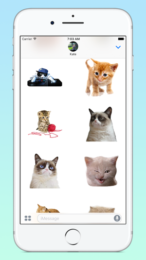 ‎Fresh Cats Screenshot