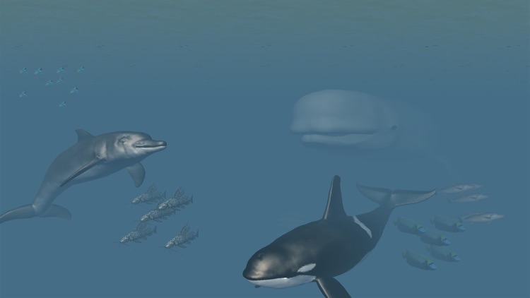 VR Sea Life Aquarium 3D screenshot-3