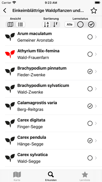 Grüental Flora & Fauna Screenshot