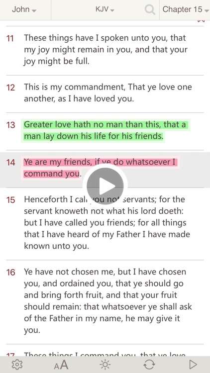 Bibles -(KJV, NIV, NRSV, RSV, ASV, NASV for Study)