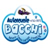 Autoscuola Bacchi