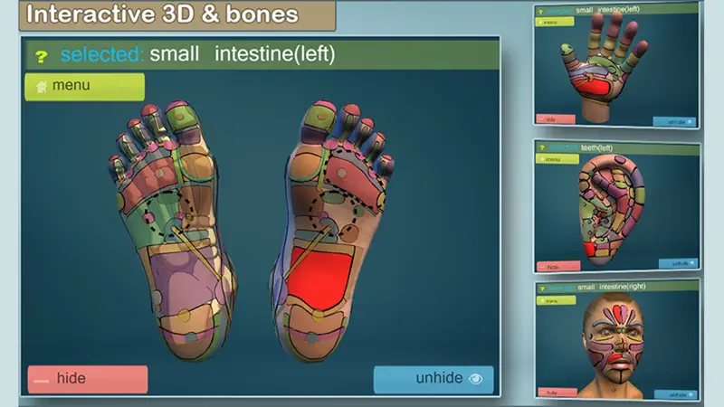 Total Reflexology-3D screenshot 5 of 5