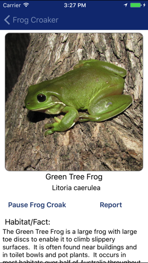 Frog Croaker(圖2)-速報App