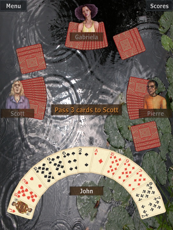 GrassGames Hearts for iPad