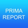 Primavera Report for iPad
