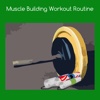 Muscle building workout routine