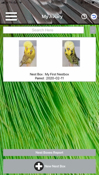 Budgerigar Screenshot