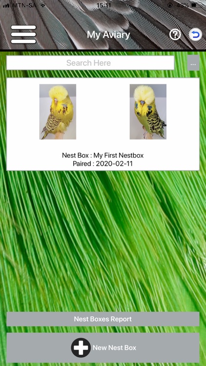 Budgerigar screenshot-3