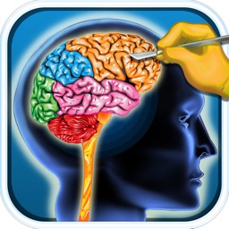 Neurosurgery Operative Notes