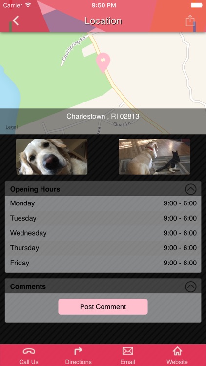 Kaylas Kritters Pet Care