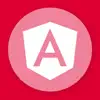 Learn Angular Offline [PRO] contact information