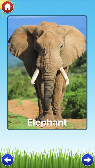 Zoo Sounds - Fun Educational Games for Kids Screenshot