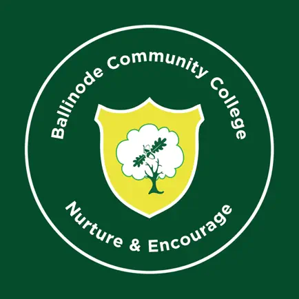 Ballinode Community College Cheats