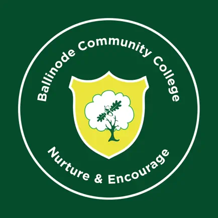 Ballinode Community College Читы