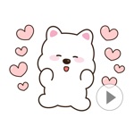 Download White Bear Terri app